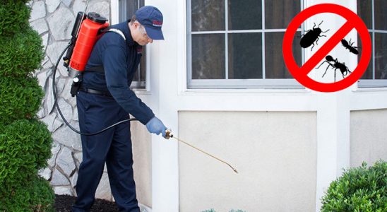 Yıkıkkemer Dezenfeksiyon böcek ilaçlama ve haşere kontrolü — ilaclama-tr.com